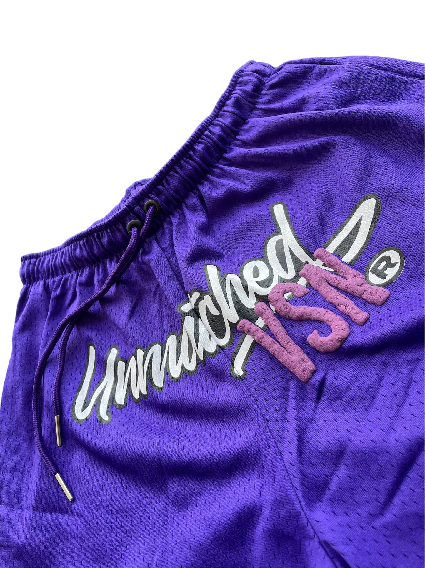 Purple Mesh Shorts